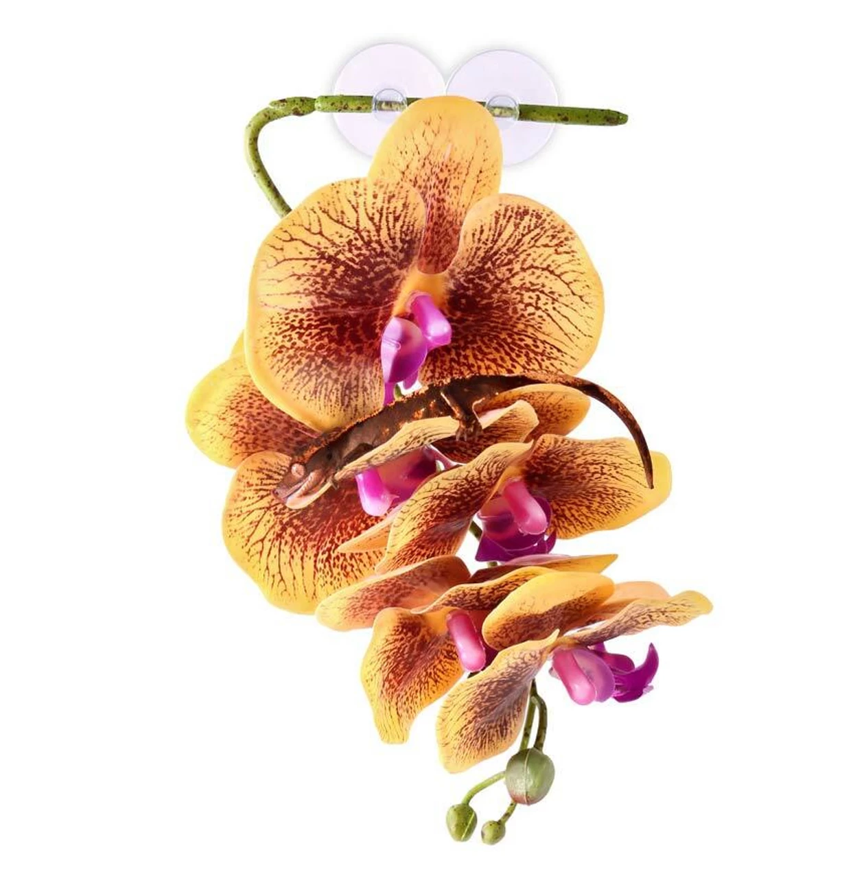 PANGEA HANGING ORCHIDS - YELLOW 2 PANGEA HANGING ORCHIDS - YELLOW - Image 2