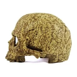 Pangea Human Skull Cave -Repti Life Shop pangea pangea human skull cave 08254.1630684982
