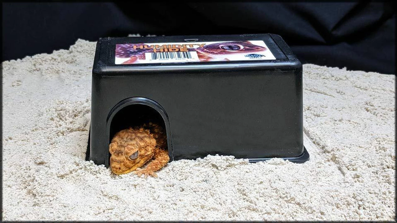 Pangea Humidity Hide Small 3 Pangea Humidity Hide Small - Image 3