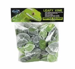 Pangea Leafy Vine Fittonia