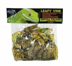 Pangea Leafy Vine Japanese Laurel