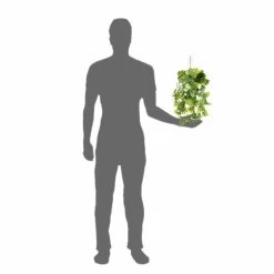 PANGEA PLANTS - GREEN -Repti Life Shop pangea pangea plants green 04619.1661887873