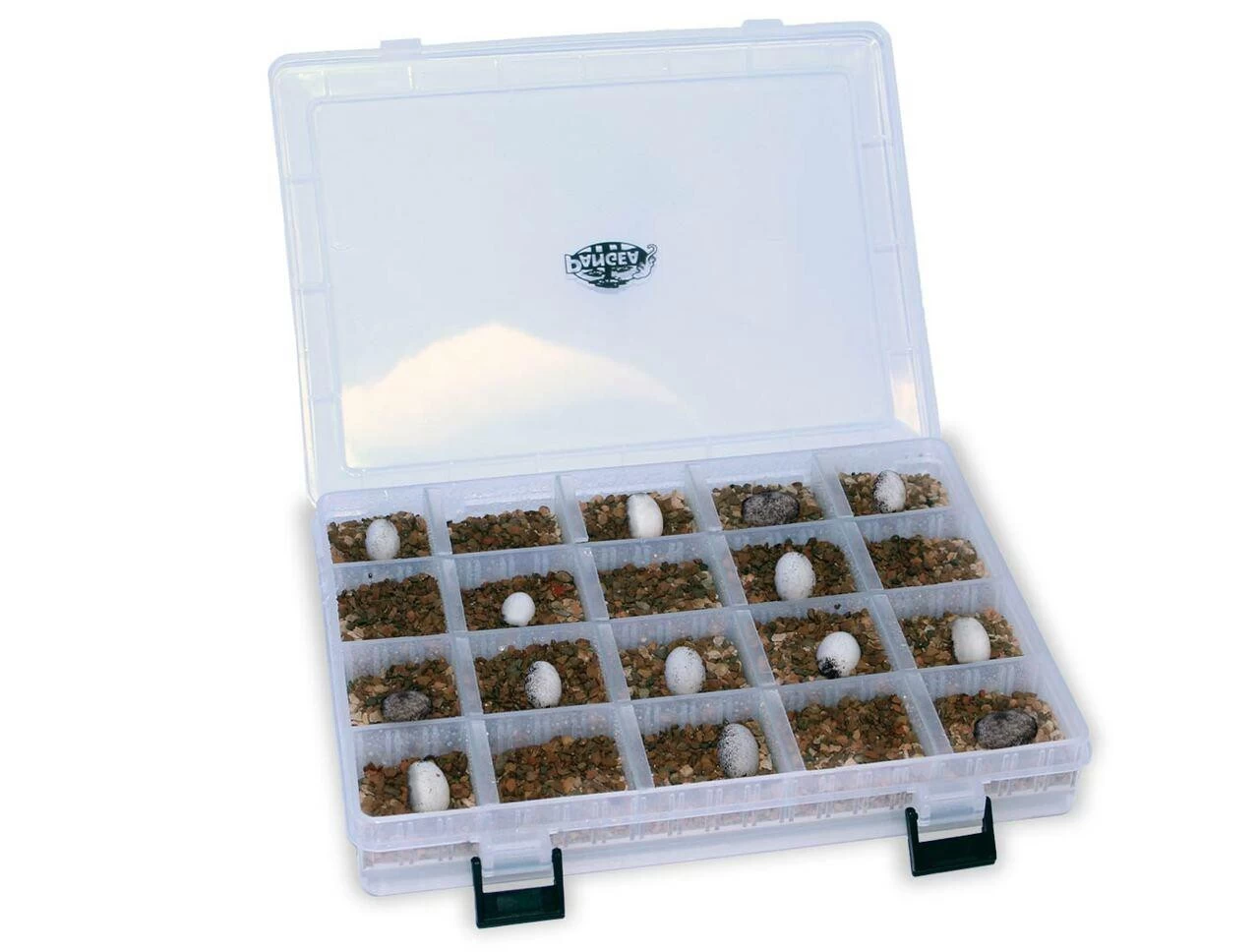 Pangea Reptile Egg Organizer 2 Pangea Reptile Egg Organizer - Image 2