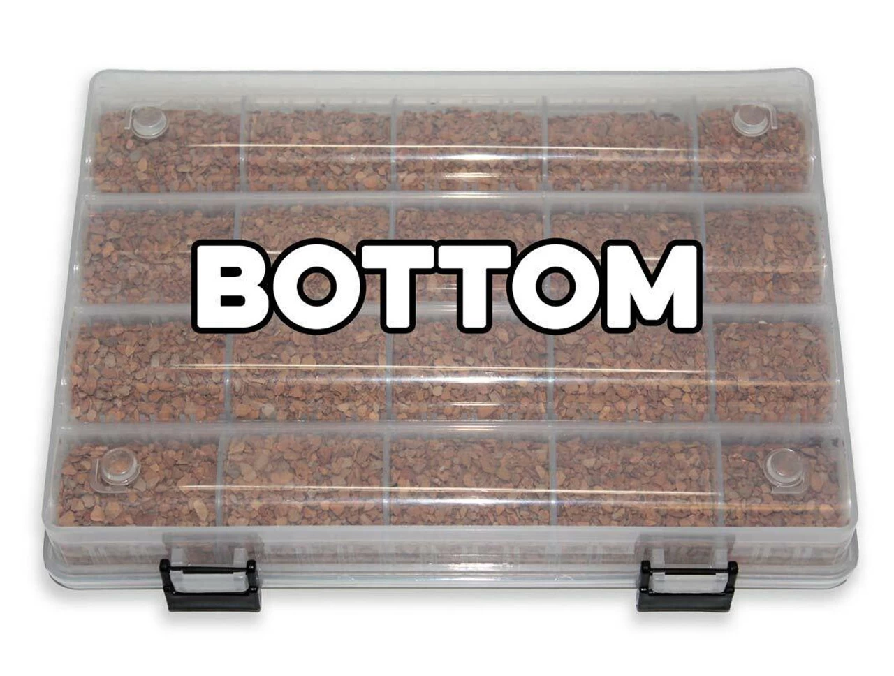 Pangea Reptile Egg Organizer 6 Pangea Reptile Egg Organizer - Image 6