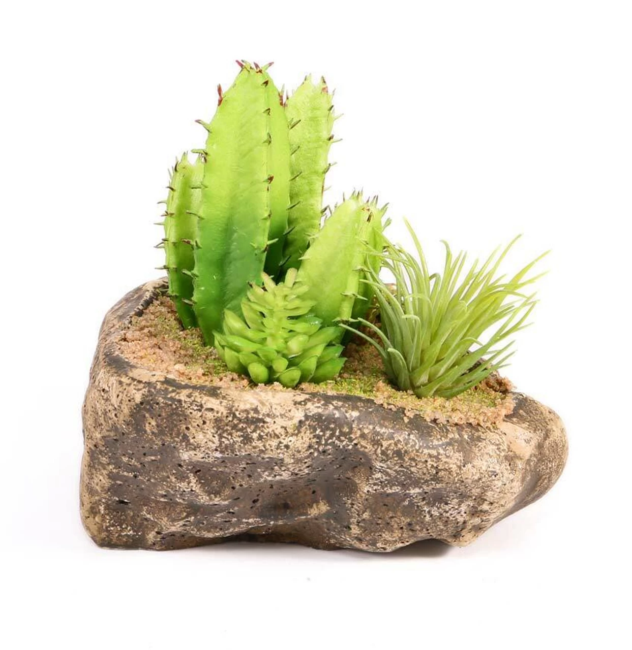 PANGEA SUCCULENT GARDEN #3 2 PANGEA SUCCULENT GARDEN #3 - Image 2