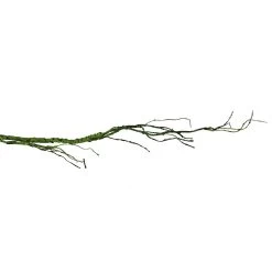Pangea Ultimate Reptile Vine With Branches - Green -Repti Life Shop pangea pangea ultimate reptile vine with branches green 15719.1659547610
