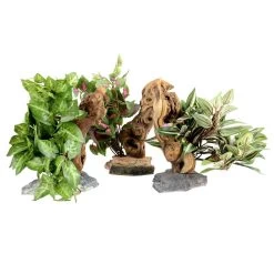 Habi-Scape Tropical Plant On Driftwood