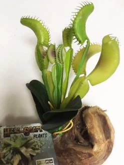 Habi-Scape Venus Flytrap With Driftwood