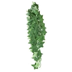 Reptile Treasures Ivy Plant 24in