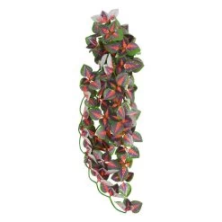 Reptile Treasures Red Angel Plant 24in