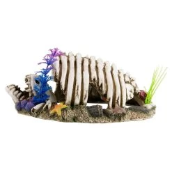 Reptile Treasures Shelter Dino Bones 10in -Repti Life Shop reptile treasures shelter dino bones 10in 21874.1708144694