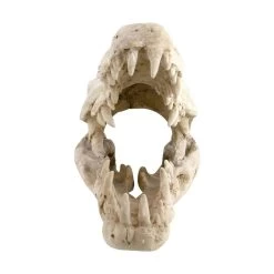 Reptile Treasures Shelter Dino Skull 10in -Repti Life Shop reptile treasures shelter dino skull 10in 92114.1708144695