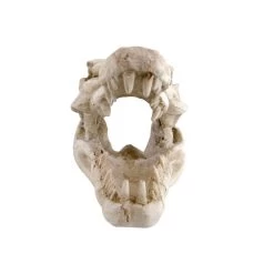 Reptile Treasures Shelter Dino Skull 6in -Repti Life Shop reptile treasures shelter dino skull 6in 45223.1708144691