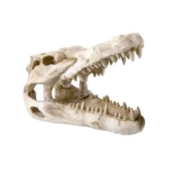 Reptile Treasures Shelter Dino Skull 6in -Repti Life Shop reptile treasures shelter dino skull 6in 94499.1708144712