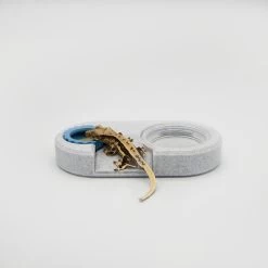 Dual Feeding Cup Holder Ramped (*Charitable Donation) 26 Dual Feeding Cup Holder Ramped (*Charitable Donation) -Repti Life Shop reptilesrus dual feeding cup holder ramped charitable donation 43111.1648132876