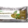 The BioDude Background Blend, 6qt