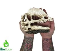 The Bio Dude - Dino Decor - Dilophosaurus 5 The Bio Dude - Dino Decor - Dilophosaurus -Repti Life Shop the biodude the bio dude dino decor dilophosaurus 82258.1703041039