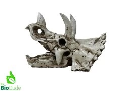 The Bio Dude - Dino Decor - Triceratops 6 The Bio Dude - Dino Decor - Triceratops -Repti Life Shop the biodude the bio dude dino decor triceratops 50039.1703041049
