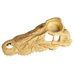 Zilla Rapid Sense UV Detecting Crocodile Skull